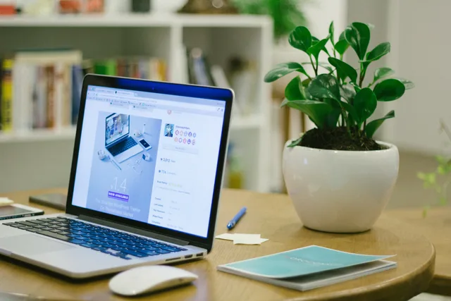 A modern workspace featuring a laptop and potted plant on a desk, offering a fresh and organized setting. Why there is no official market total for England's web agencies
